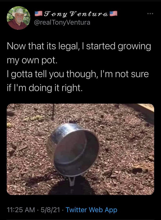 soil - Tony Ventura Now that its legal, I started growing my own pot. I gotta tell you though, I'm not sure if I'm doing it right. 5821 Twitter Web App