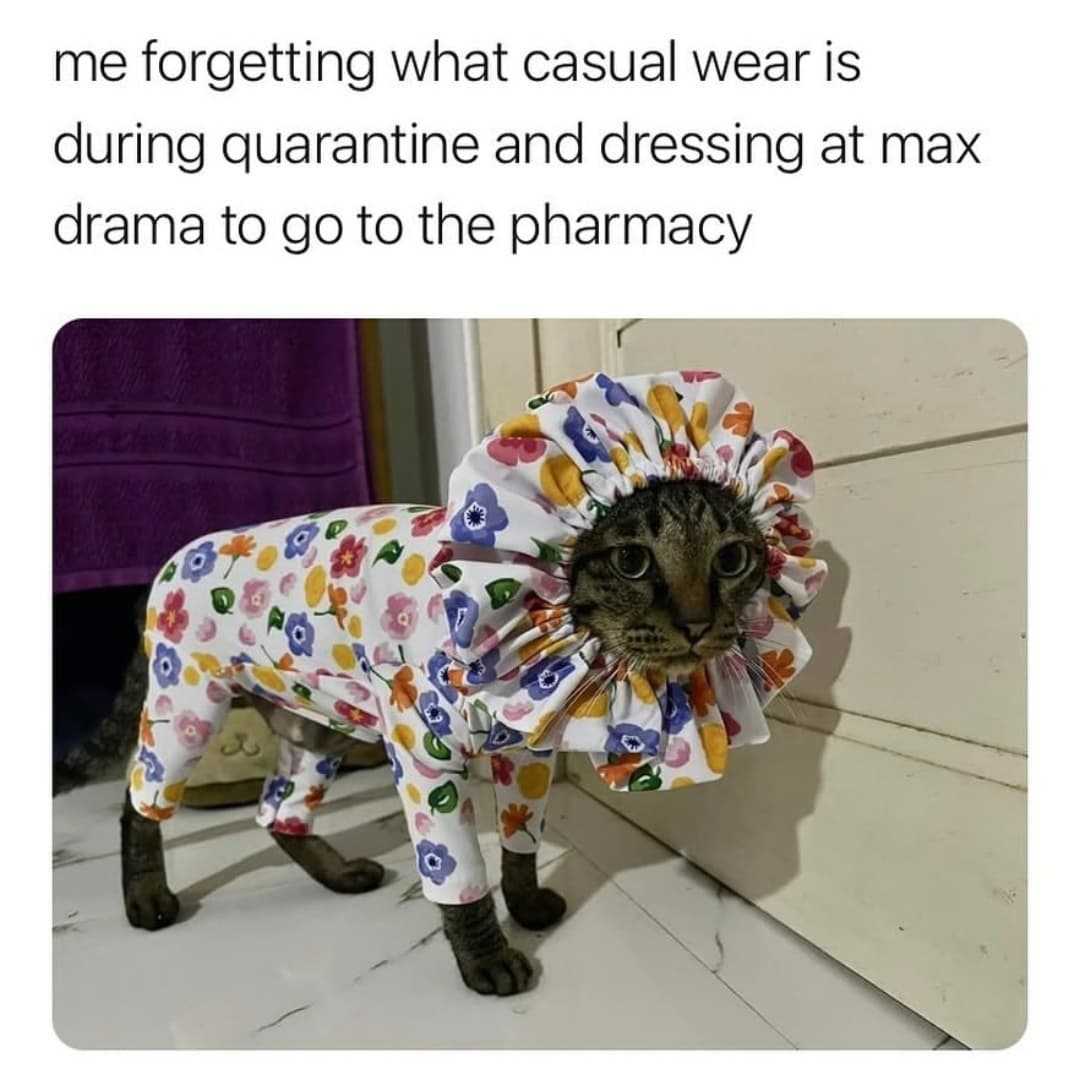 dog - me forgetting what casual wear is during quarantine and dressing at max drama to go to the pharmacy