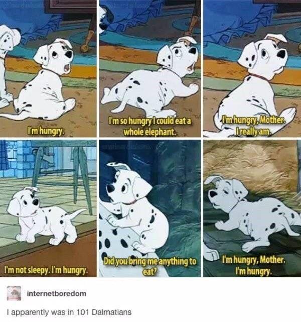 rolly 101 dalmatians meme - I'm hungry I'm so hungry I could eata whole elephant. Imhungry Mother Izeallyam I'm not sleepy. I'm hungry. Did you bring me anything to eat? I'm hungry, Mother I'm hungry. internetboredom I apparently was in 101 Dalmatians