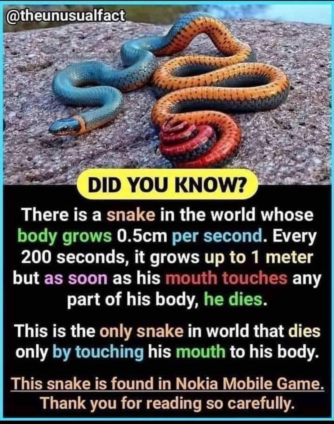 funny gaming memes - golden gate bridge - Did You Know? There is a snake in the world whose body grows 0.5cm per second. Every 200 seconds, it grows up to 1 meter but as soon as his mouth touches any part of his body, he dies. This is the only snake in wo