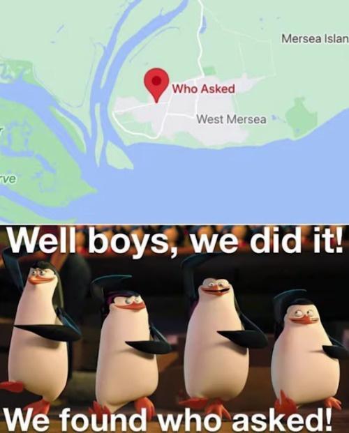 we did it boys memes - Mersea Islan Who Asked West Mersea ve Well boys, we did it! We found who asked!
