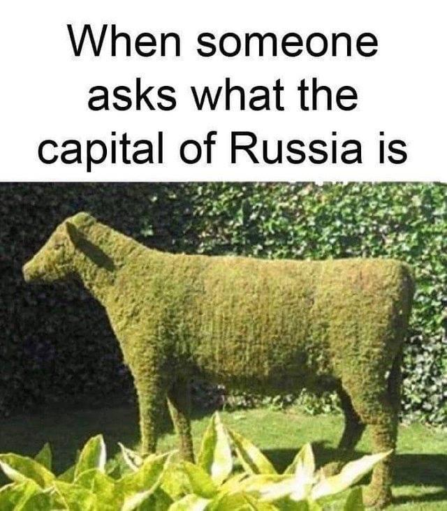 hilarious puns - When someone asks what the capital of Russia is
