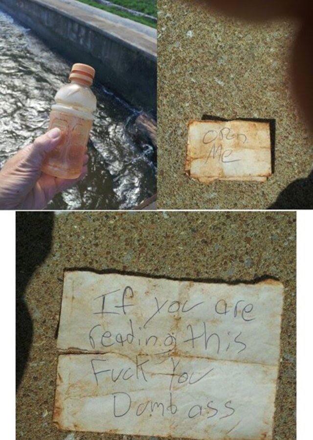 funny message in a bottle - Or If you are reading this Fuck you Domb ass