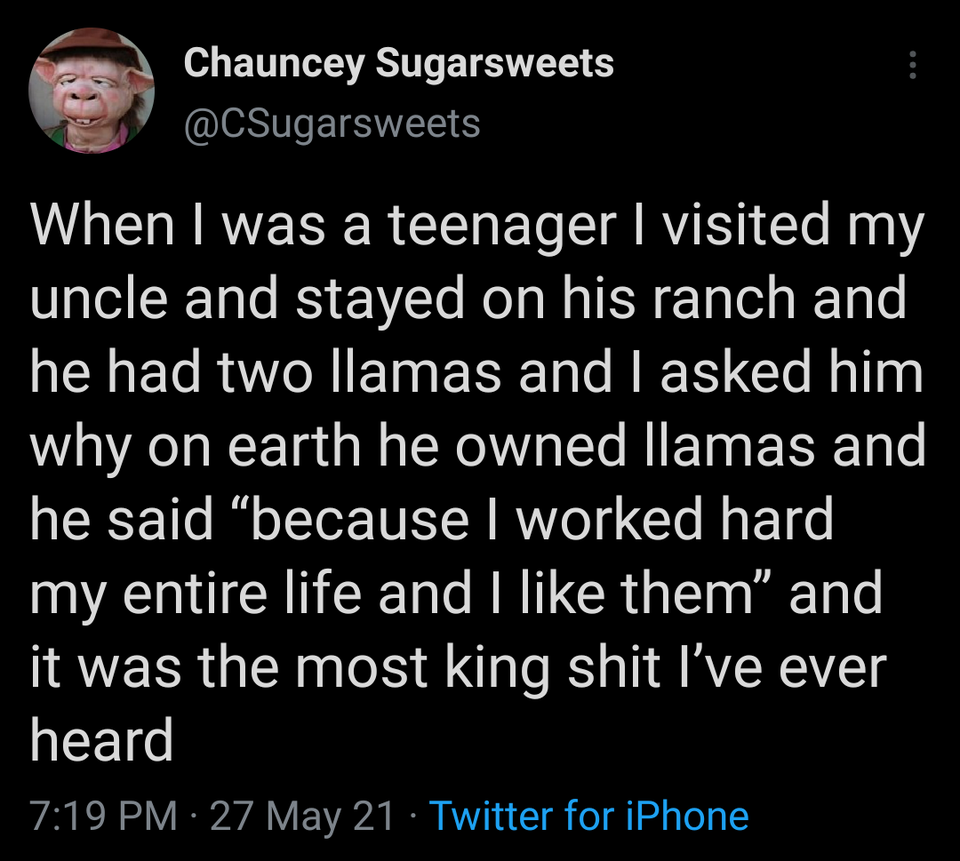 funny tweets - photo caption - Chauncey Sugarsweets When I was a teenager I visited my uncle and stayed on his ranch and he had two llamas and I asked him why on earth he owned llamas and he said because I worked hard my entire life and I them and it was 