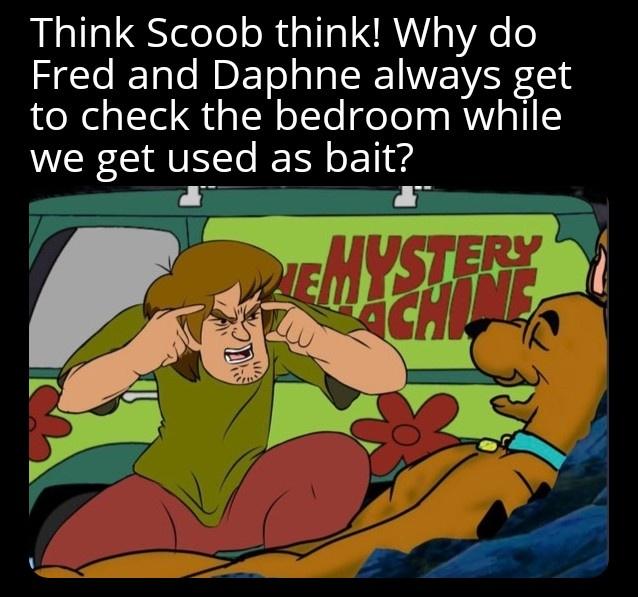 cartoon - Think Scoob think! Why do Fred and Daphne always get to check the bedroom while we get used as bait? Je Ema Mystery