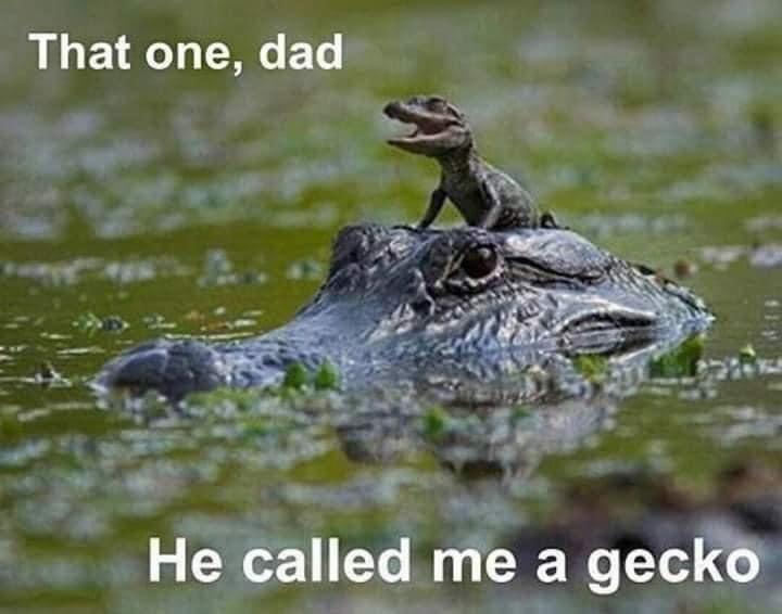 one dad he called me a gecko - That one, dad He called me a gecko