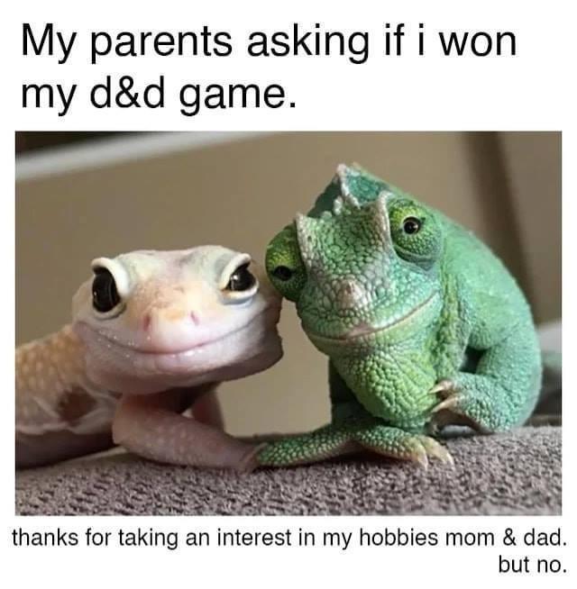 reptile dysfunction - My parents asking if i won my d&d game. thanks for taking an interest in my hobbies mom & dad. but no.
