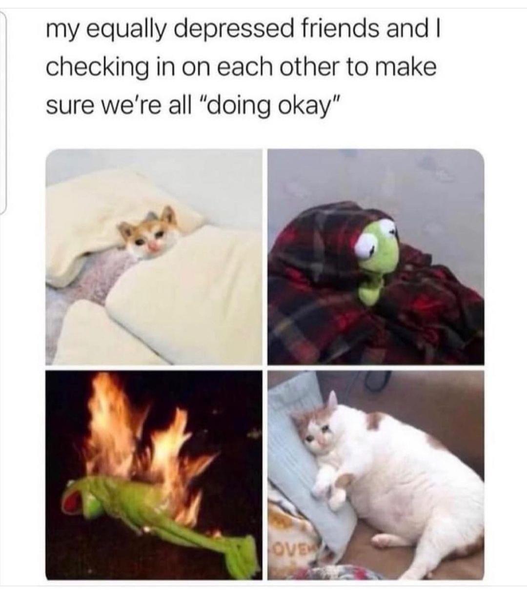 my equally depressed friends meme - my equally depressed friends and I checking in on each other to make sure we're all "doing okay" Ove