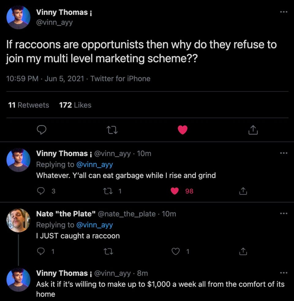 screenshot - Vinny Thomas ; If raccoons are opportunists then why do they refuse to join my multi level marketing scheme?? . Twitter for iPhone 11 172 Vinny Thomas 10m Whatever. Y'all can eat garbage while I rise and grind 3 221 98 Nate "the Plate" 10m I 