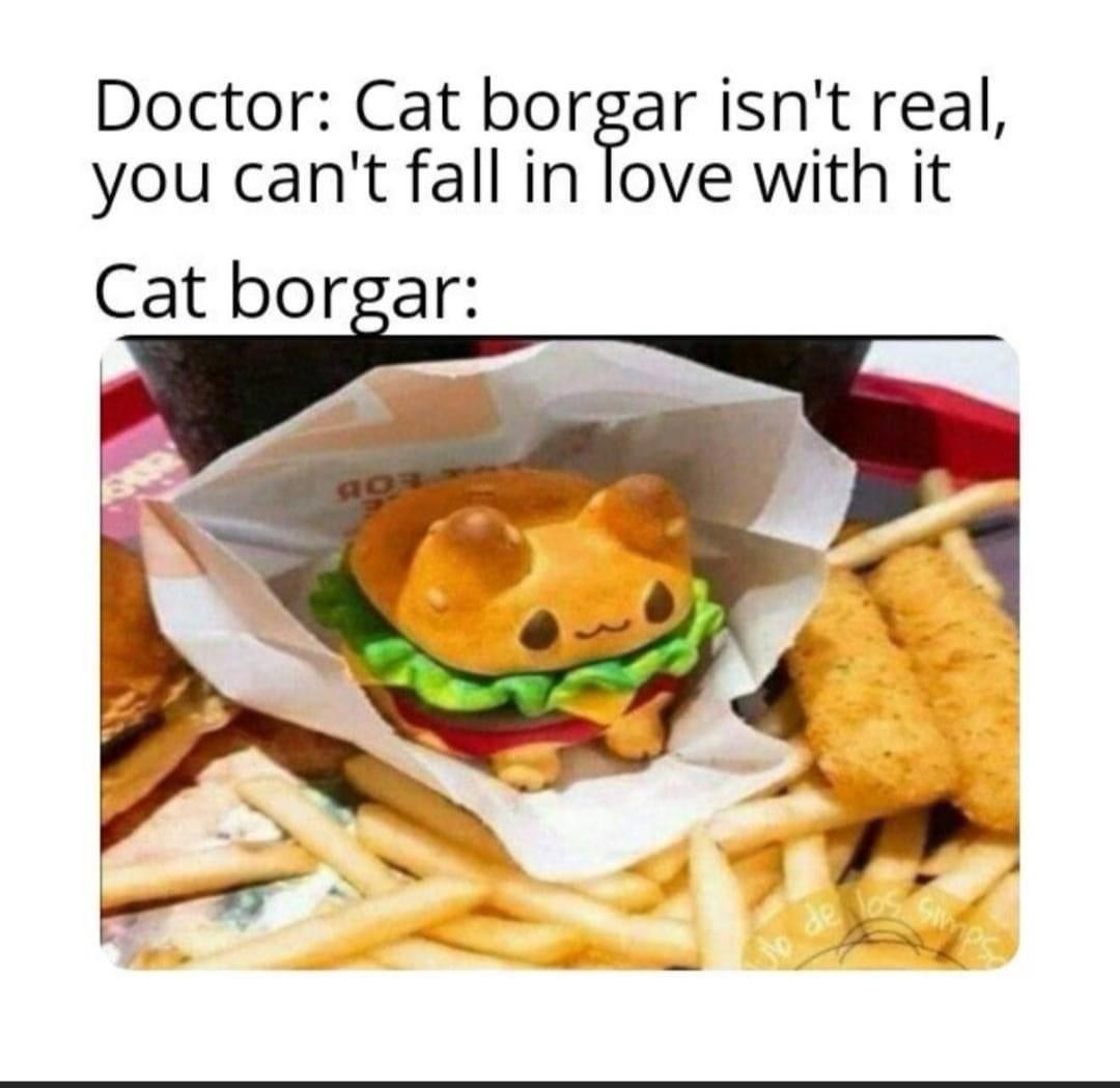 cat borgar - Doctor Cat borgar isn't real, you can't fall in love with it Cat borgar 90 Games Jy de