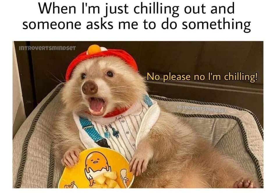 photo caption - When I'm just chilling out and someone asks me to do something Introvertsmindset No please no I'm chilling! INTROVERTSminoser