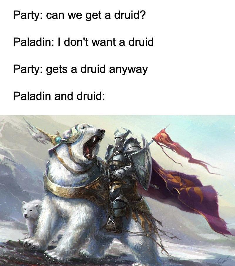warhammer bear rider - Party can we get a druid? Paladin I don't want a druid Party gets a druid anyway Paladin and druid