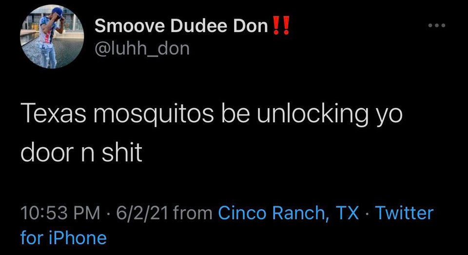 atmosphere - Smoove Dudee Don !! Texas mosquitos be unlocking yo door n shit 6221 from Cinco Ranch, Tx Twitter for iPhone