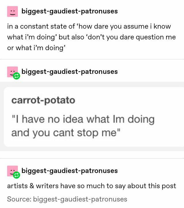 quotes funny tumblr posts - biggestgaudiestpatronuses in a constant state of 'how dare you assume i know what i'm doing' but also don't you dare question me or what i'm doing' biggestgaudiestpatronuses carrotpotato "I have no idea what Im doing and you ca
