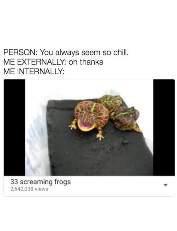 33 screaming frogs - Person You always seem so chill. Me Externally oh thanks Me Internally 33 screaming frogs 2,642,038 views