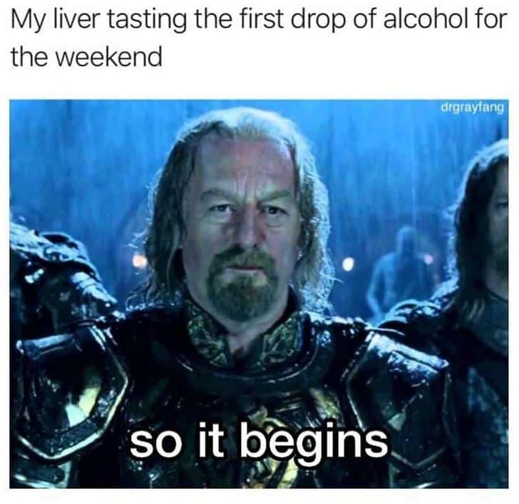 lord of the rings memes - My liver tasting the first drop of alcohol for the weekend drgrayfang so it begins
