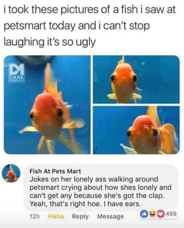 took these pictures of a fish - i took these pictures of a fish i saw at petsmart today and i can't stop laughing it's so ugly D Danki Ot Fish At Pets Mart Jokes on her lonely ass walking around petsmart crying about how shes lonely and can't get any beca
