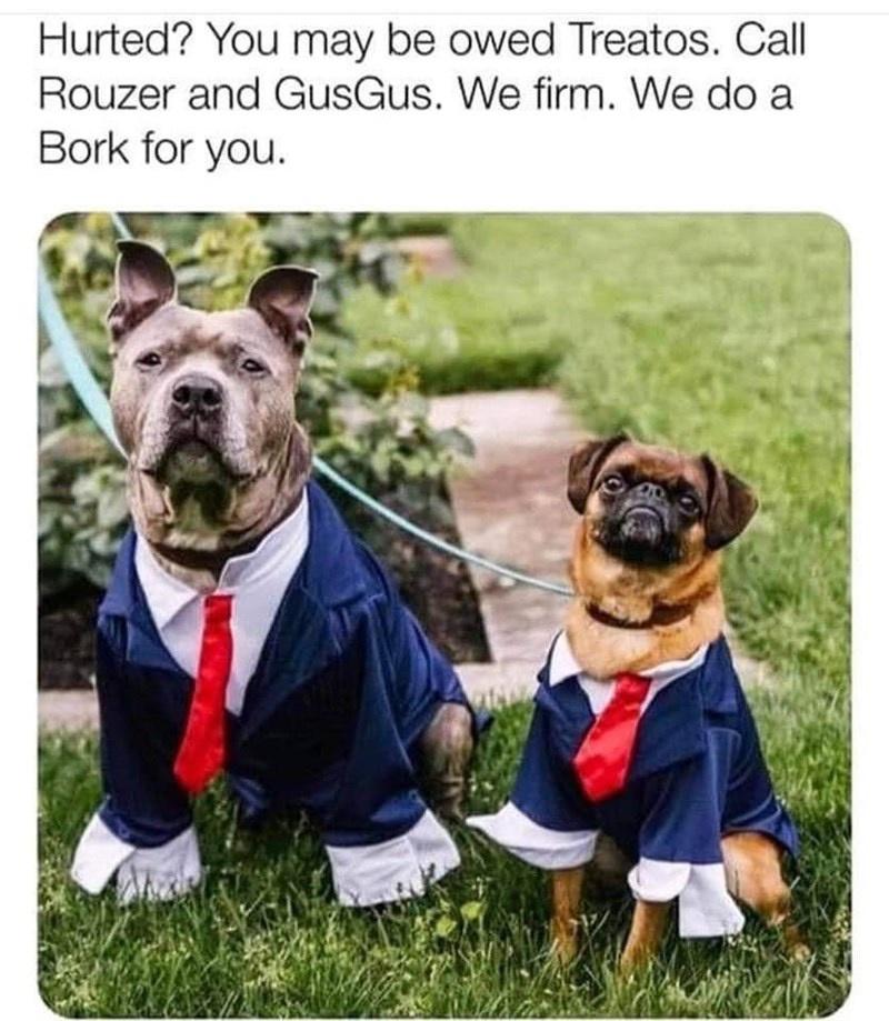 rouzer and gus gus - Hurted? You may be owed Treatos. Call Rouzer and GusGus. We firm. We do a Bork for you.