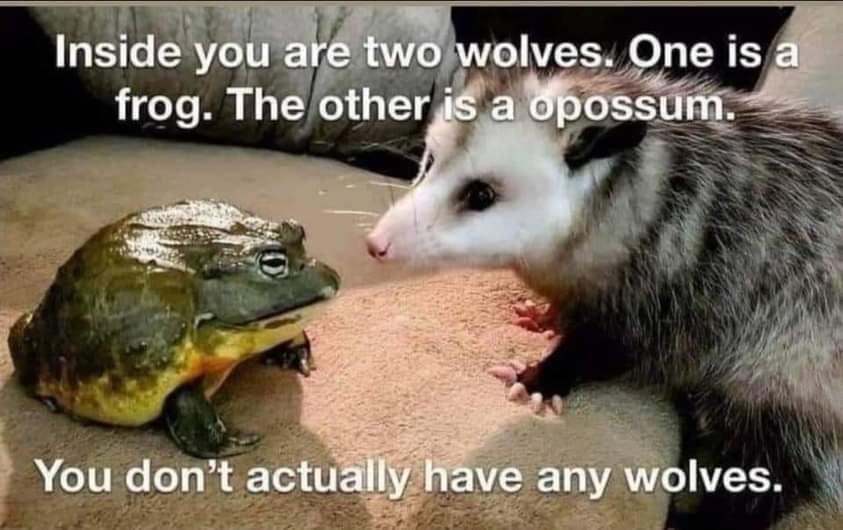 opossum with frog - Inside you are two wolves. One is a frog. The other is a opossum. You don't actually have any wolves.