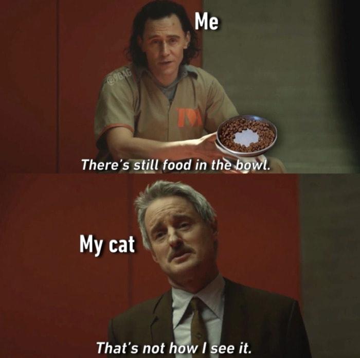 mobius loki meme - Me There's still food in the bowl. My cat That's not how I see it.