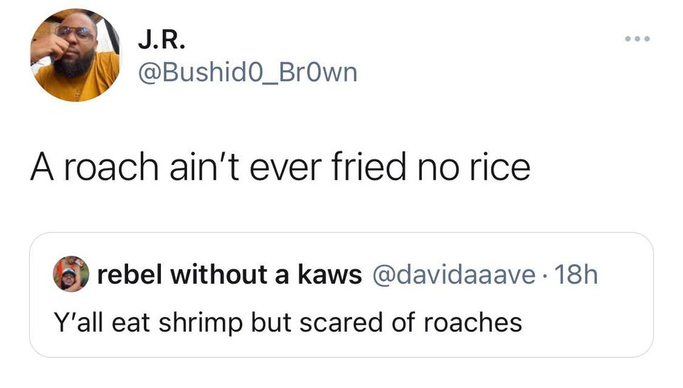 funny tweets and replies on twitter - document - J.R. A roach ain't ever fried no rice rebel without a kaws . 18h Y'all eat shrimp but scared of roaches