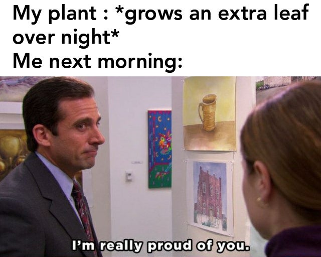 The Office Memes That Will Be The Pam To Your Jim