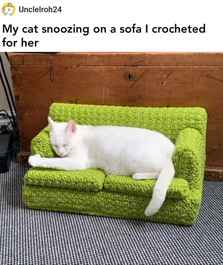 dank memes - Cat - Unclelroh24 My cat snoozing on a sofa I crocheted for her