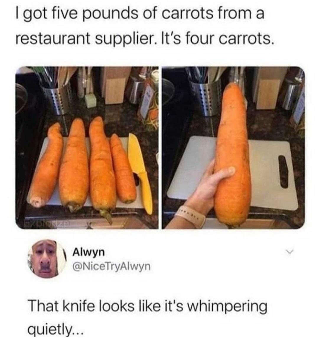 dank memes - cursed carrot - I got five pounds of carrots from a restaurant supplier. It's four carrots. Korzo Alwyn TryAlwyn That knife looks it's whimpering quietly...