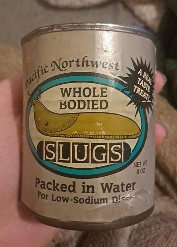 canned slugs - Area Taste pacific Northwest Treat Whole Bodied Slugs Net Wt 8 Oz Packed in Water For LowSodium Dias