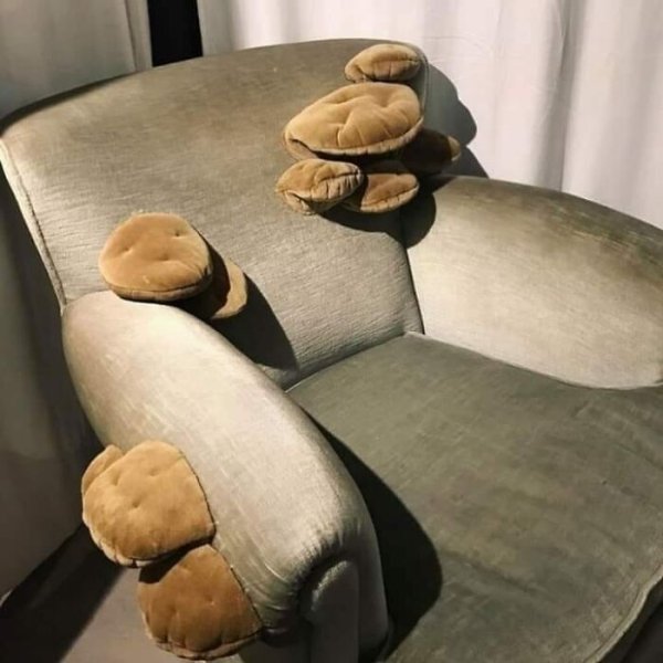 couch with mushrooms