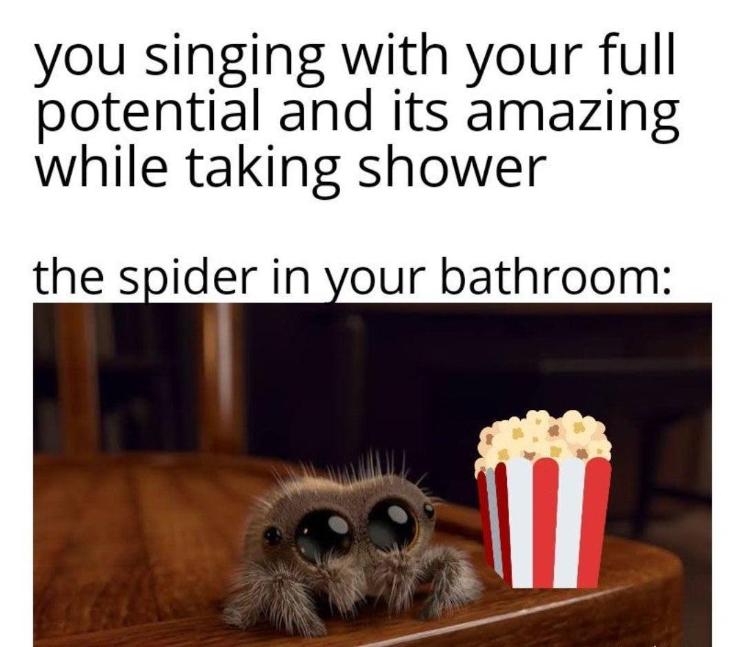 monday morning randomness - spider in the bathroom meme - you singing with your full potential and its amazing while taking shower the spider in your bathroom 1