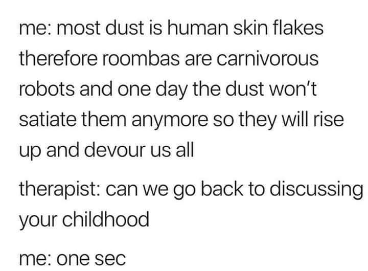 monday morning randomness - gemini smirk - me most dust is human skin flakes therefore roombas are carnivorous robots and one day the dust won't satiate them anymore so they will rise up and devour us all therapist can we go back to discussing your childh