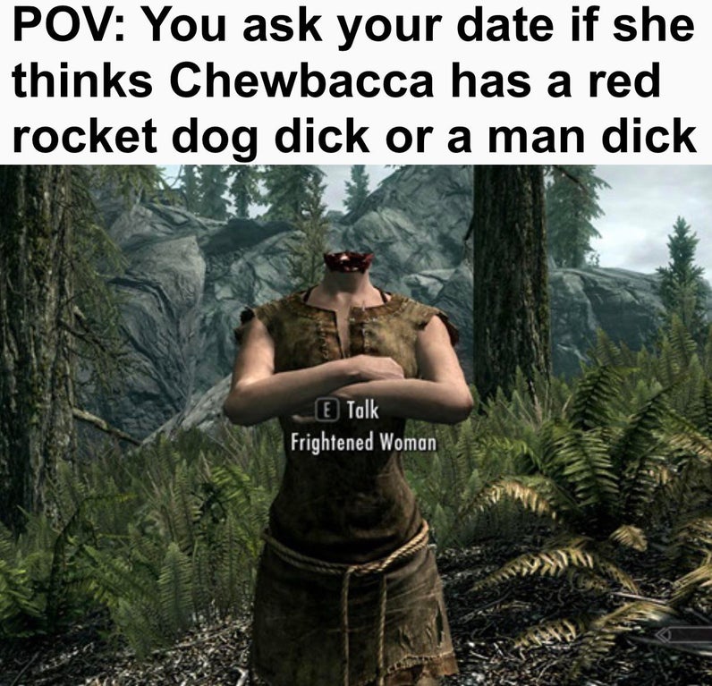 funny gaming memes - bethesda glitches meme - Pov You ask your date if she thinks Chewbacca has a red rocket dog dick or a man dick E Talk Frightened Woman