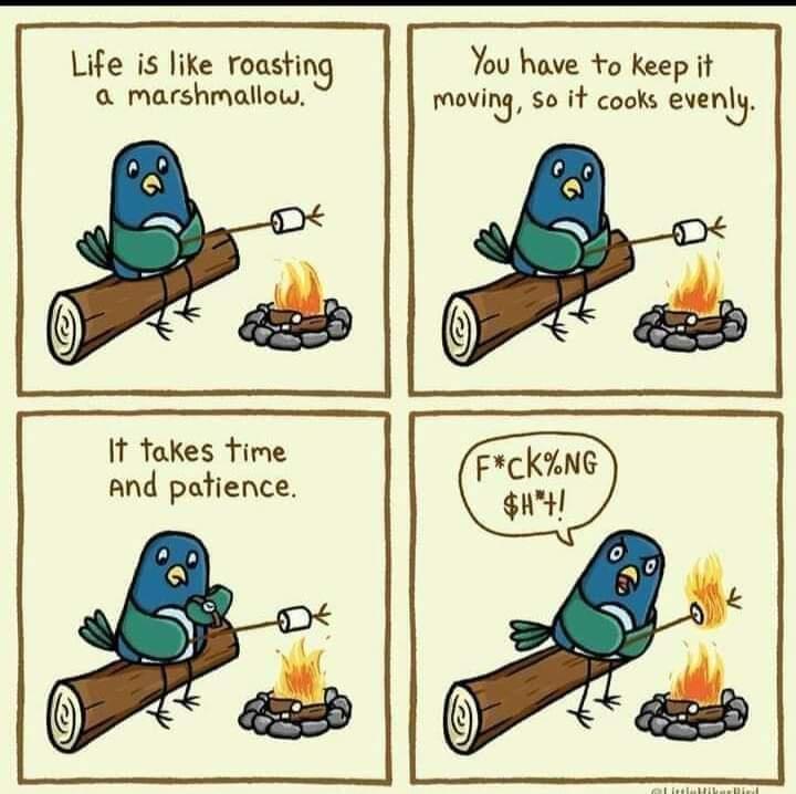 life is like roasting a marshmallow - Life is roasting a marshmallow. You have to keep it moving, so it cooks evenly. It takes time And patience. Fck%Ng $! D ol Rin