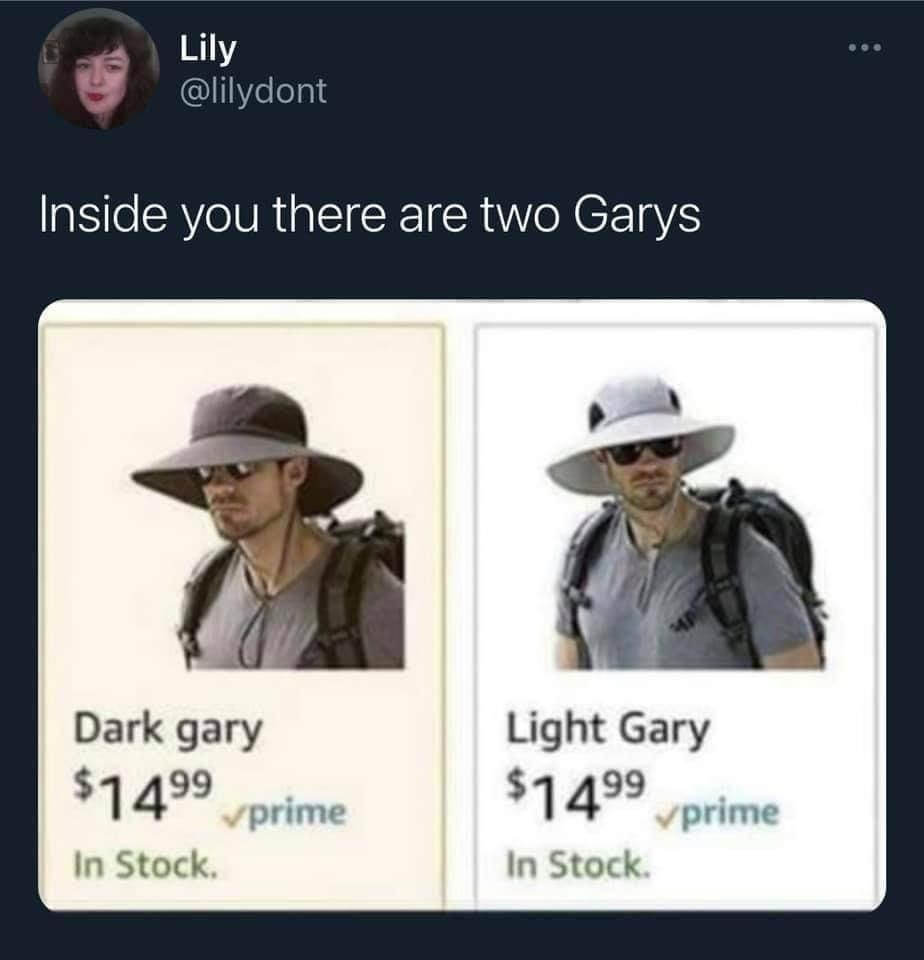 light gary dark gary - Lily Inside you there are two Garys Dark gary Light Gary $1499 prime $1499 prime In Stock. In Stock