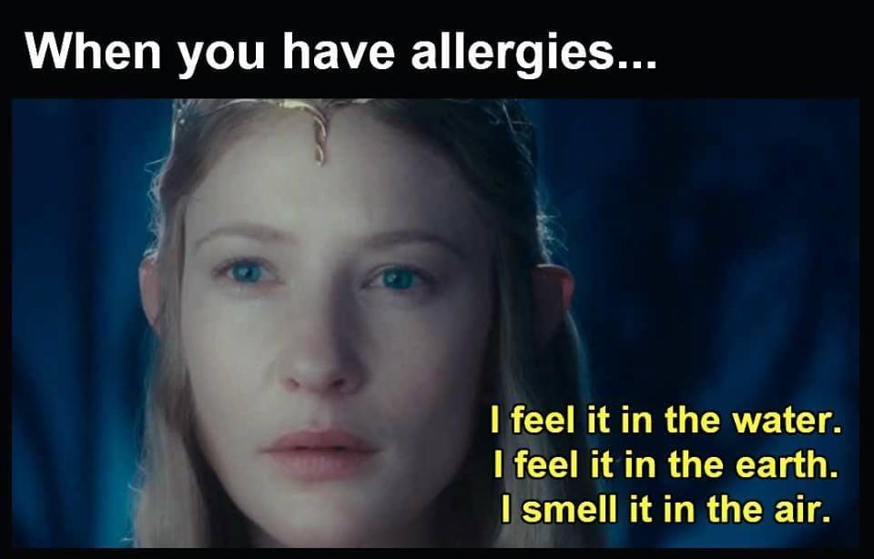 head - When you have allergies... I feel it in the water. I feel it in the earth. I smell it in the air.