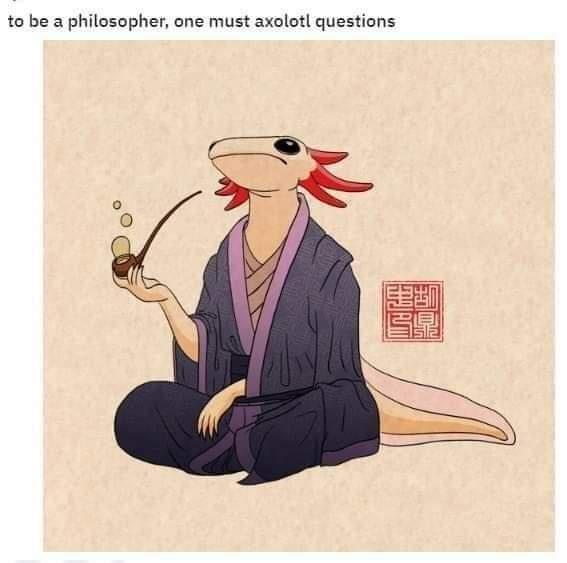philosopher one must axolotl questions - to be a philosopher, one must axolotl questions 90