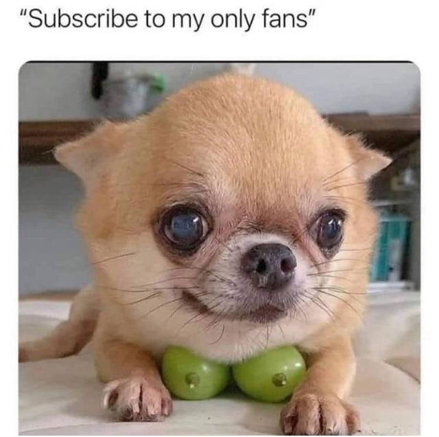 funny meme - "Subscribe to my only fans"