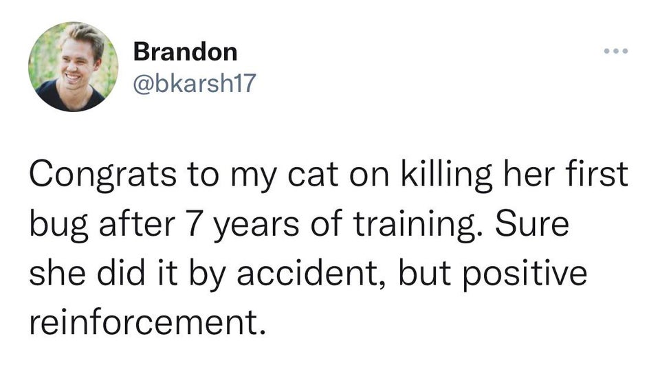 hello vegans if pigs are so smart - Brandon Congrats to my cat on killing her first bug after 7 years of training. Sure she did it by accident, but positive reinforcement.
