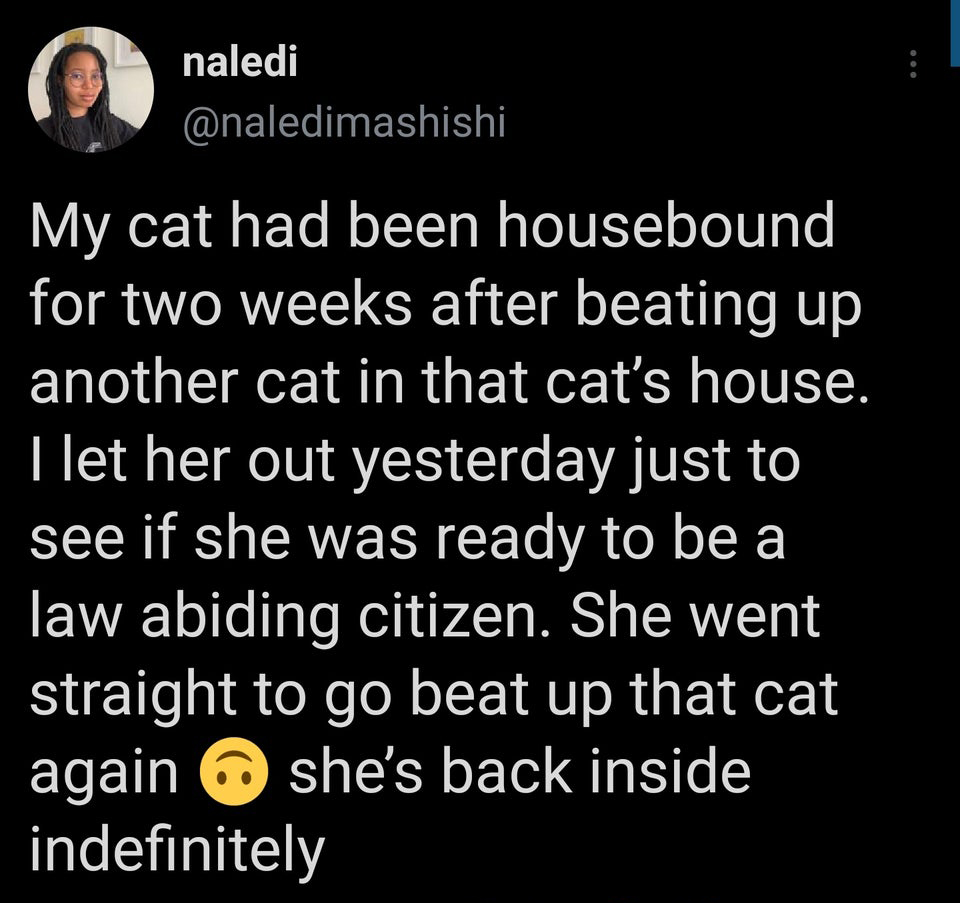 atmosphere - naledi My cat had been housebound for two weeks after beating up another cat in that cat's house. I let her out yesterday just to see if she was ready to be a law abiding citizen. She went straight to go beat up that cat again 6 she's back in