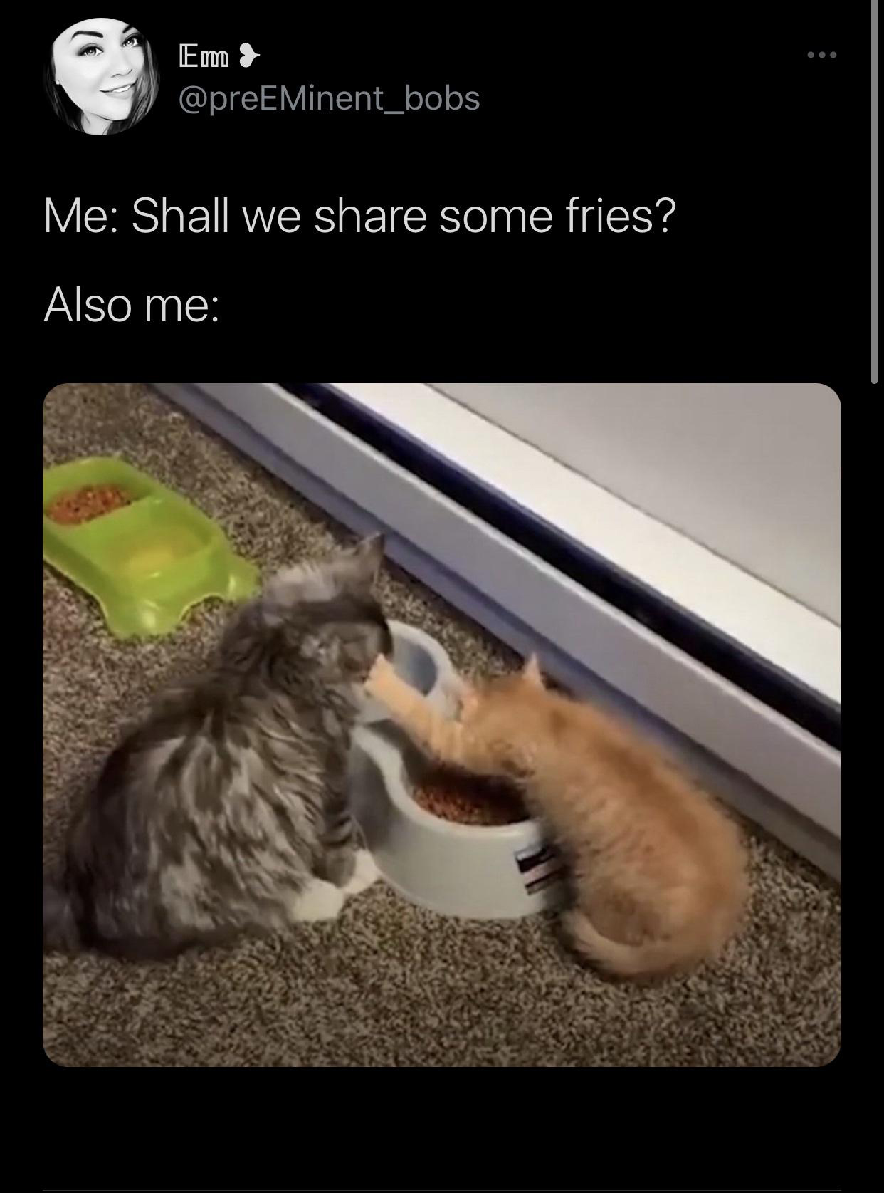 Cat - Em Me Shall we some fries? Also me
