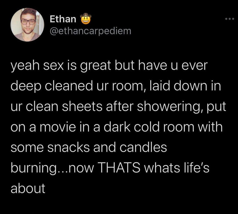 Ethan 0 yeah sex is great but have u ever deep cleaned ur room, laid down in ur clean sheets after showering, put on a movie in a dark cold room with some snacks and candles burning...now Thats whats life's about