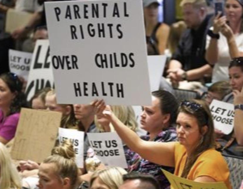 protest - Parental Rights Let U Boos Llover Childs Wa Health Let Us Hoose Slet Us Oose