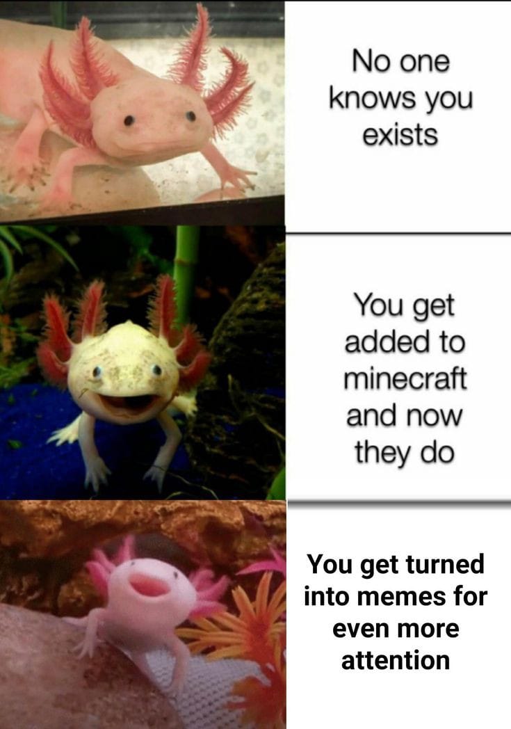 funny gaming memes - minecraft axolotl memes - No one knows you exists You get added to minecraft and now they do You get turned into memes for even more attention