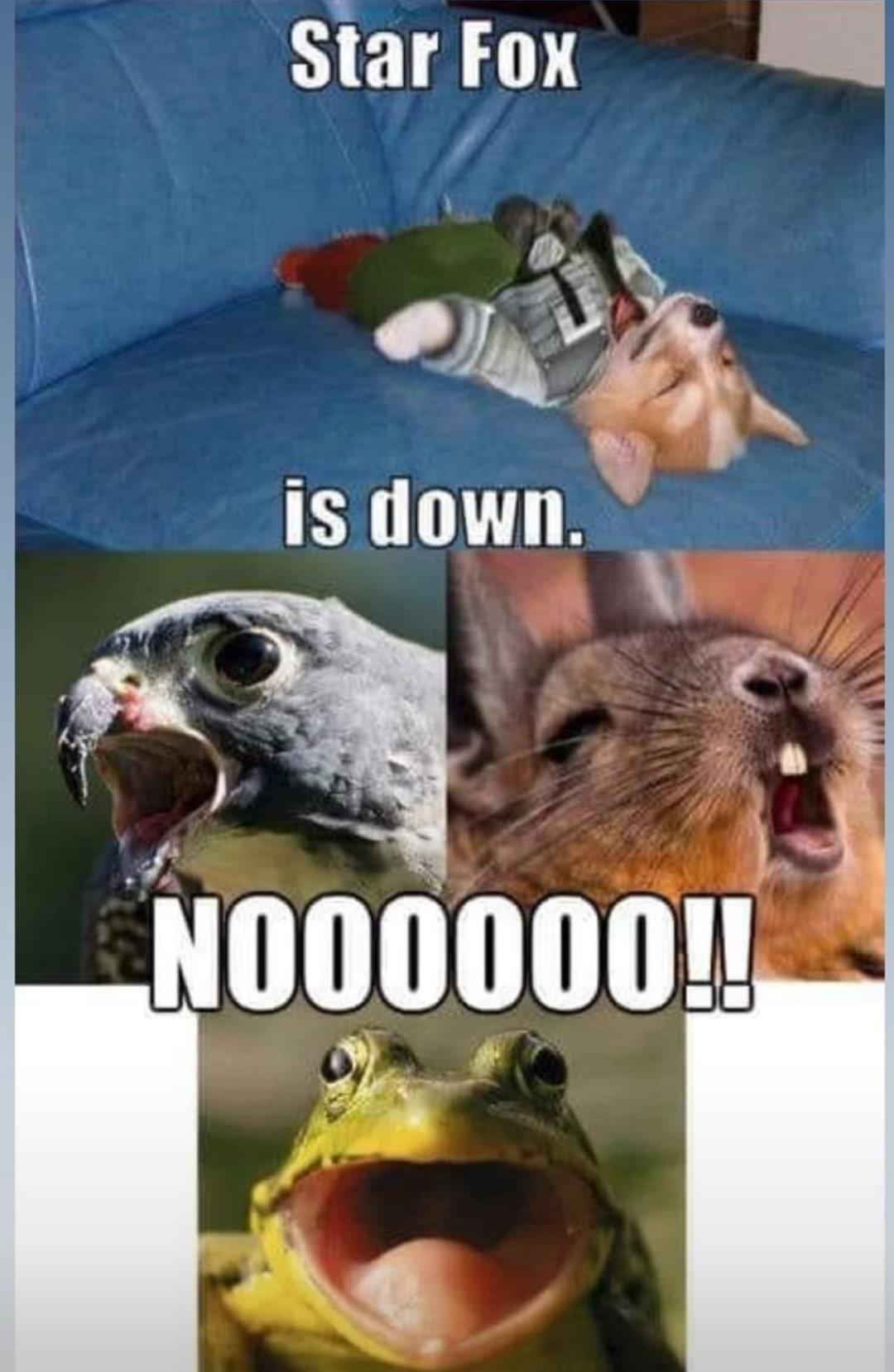 funny gaming memes - star fox is down - Star Fox is down. NO00000!!