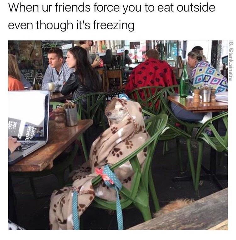 hungover brunch meme - When ur friends force you to eat outside even though it's freezing be Ig .sinatra Sa