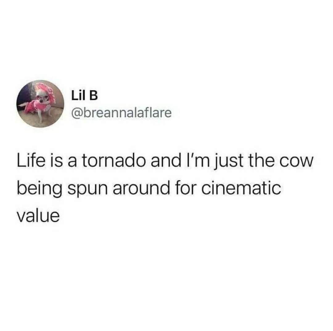 really be going through - Lil B Life is a tornado and I'm just the cow being spun around for cinematic value