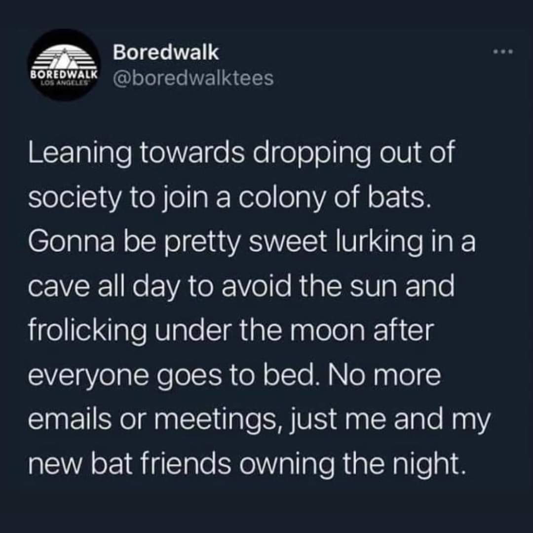 dreamwastaken adhd - Boredwalk Boredwalk Leaning towards dropping out of society to join a colony of bats. Gonna be pretty sweet lurking in a cave all day to avoid the sun and frolicking under the moon after everyone goes to bed. No more emails or meeting