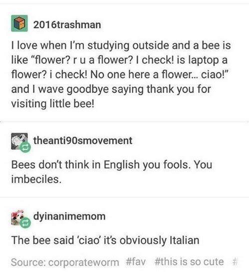 document - 2016trashman I love when I'm studying outside and a bee is "flower? ru a flower? I check! is laptop a flower? i check! No one here a flower... ciao!" and I wave goodbye saying thank you for visiting little bee! theanti90smovement Bees don't thi