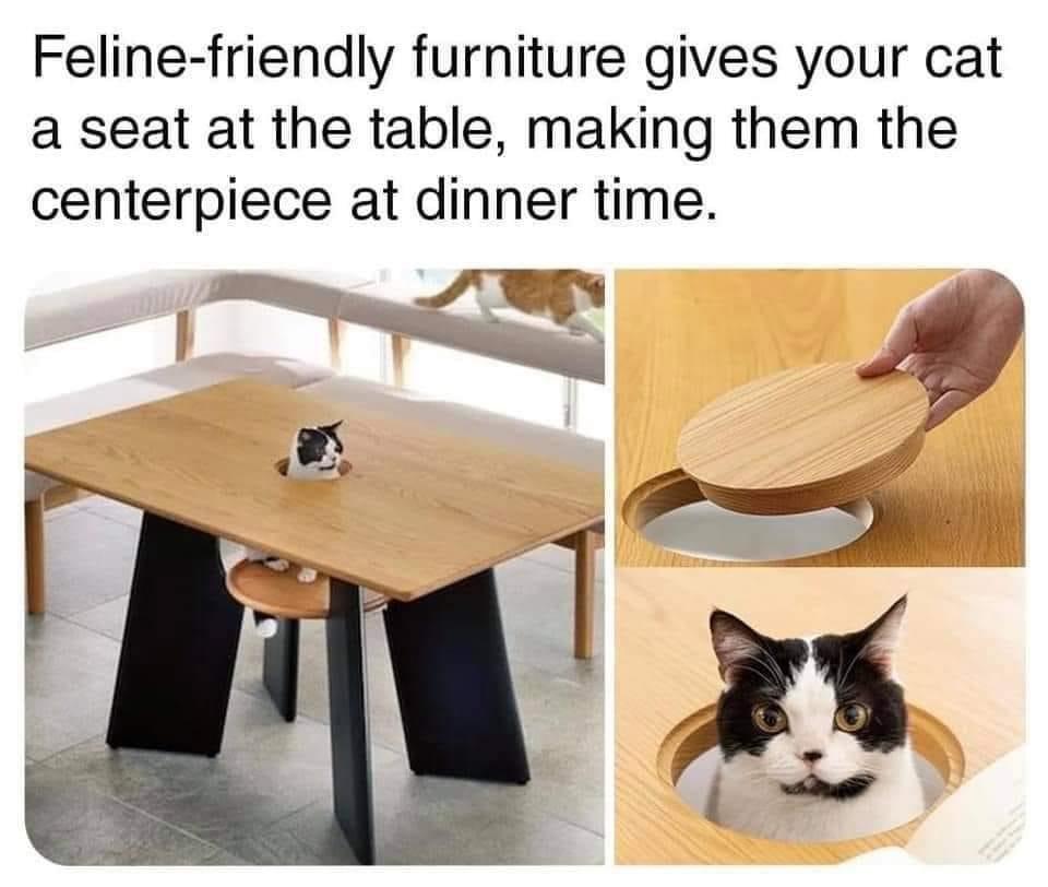 Cat - Felinefriendly furniture gives your cat a seat at the table, making them the centerpiece at dinner time.
